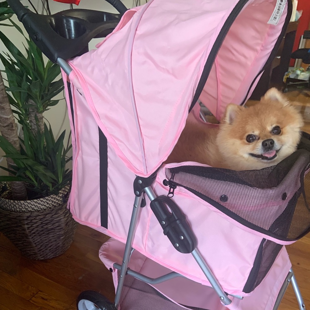Dog Stroller